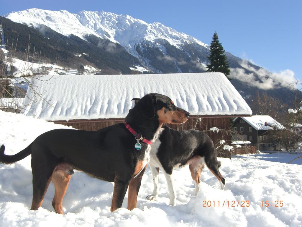 Sonnenhaus Sander Schruns Exterior foto