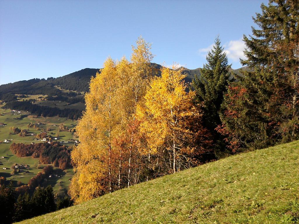 Sonnenhaus Sander Schruns Exterior foto