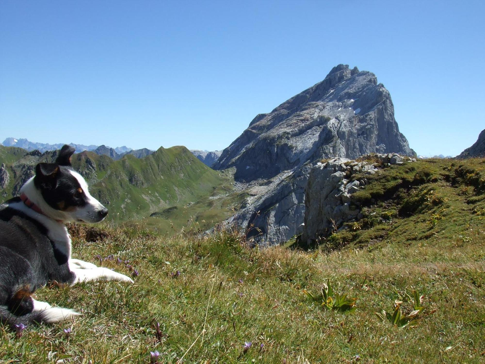 Sonnenhaus Sander Schruns Exterior foto